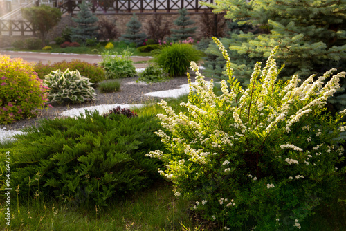 Fragment of the park with landscape design. Ornamental shrubs of various shapes and sizes.