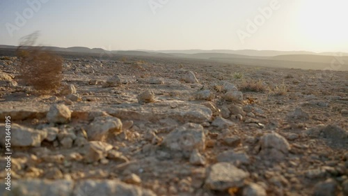 Profile shot of rolling tumbleweed blown by the wind in empty desert terrain. Desolation and emptiness in vast open desert during daytime. Outdoor in hot dry weather. No people or animals around