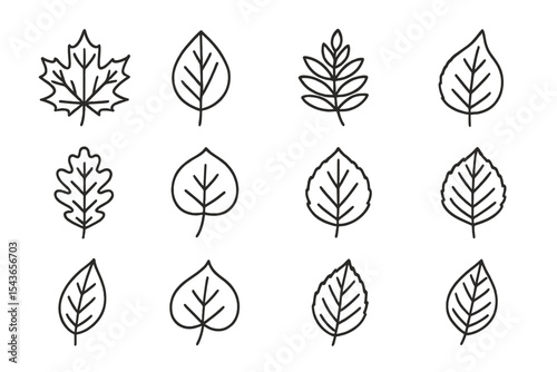 Various leaf outlines displayed in a grid pattern showcasing different shapes and sizes