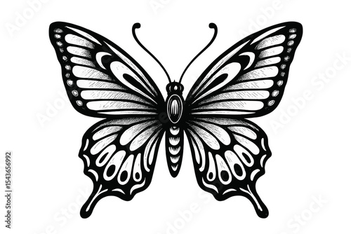 Elegant black and white butterfly illustration showcasing intricate details and symmetrical wings