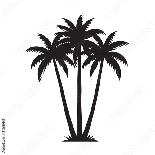 palm tree silhouette