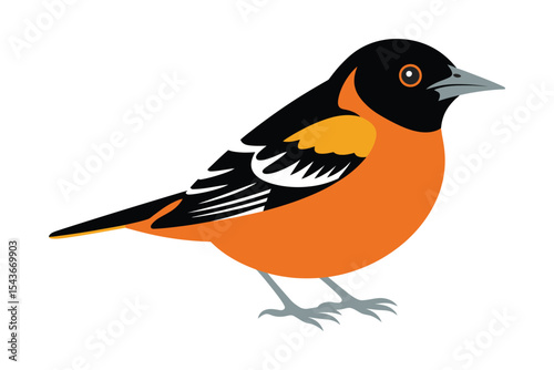 Beautiful oriole perched vector bird for forest design projects