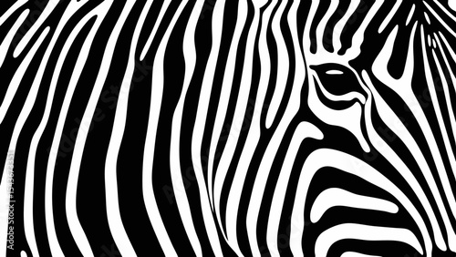 Close up view of a zebra head with black and white stripes filling the entire frame completely