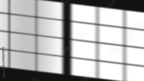 Shadow and Overlay Effect on Line Art Portrait