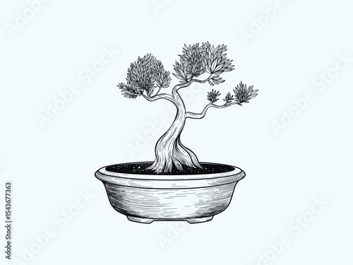 Hand Drawn Bonsai Tree in Pot Illustration