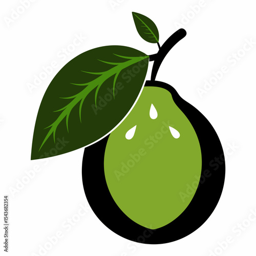 vector illustration of guava