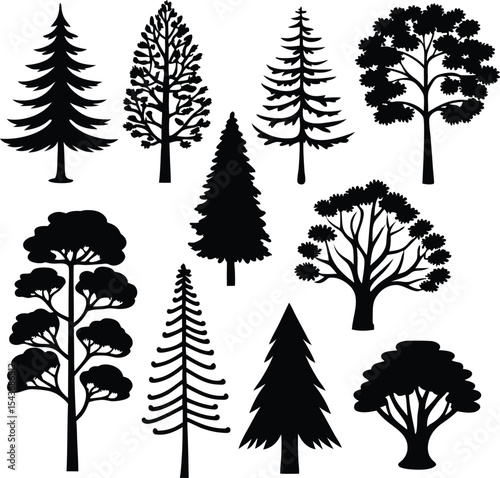 Collection of Tree Silhouettes for Landscape Design