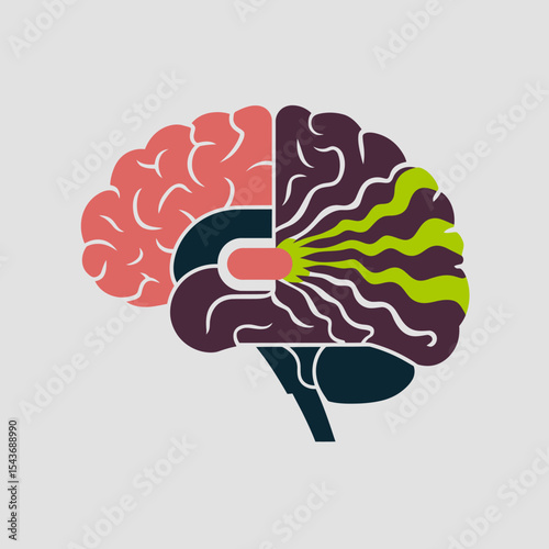 Human Brain Anatomy Illustration Medical Science Neurological System Diagram Healthcare Education Flat Design Graphic Vector Art Colorful Creative Brainpower Neurology Neuroscience Research Knowledge 