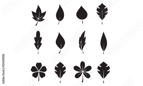 Leaves icons set