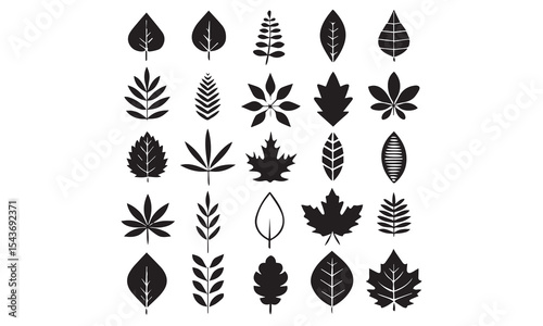 Leaves icons set