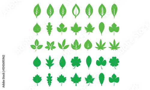 Leaves icons set
