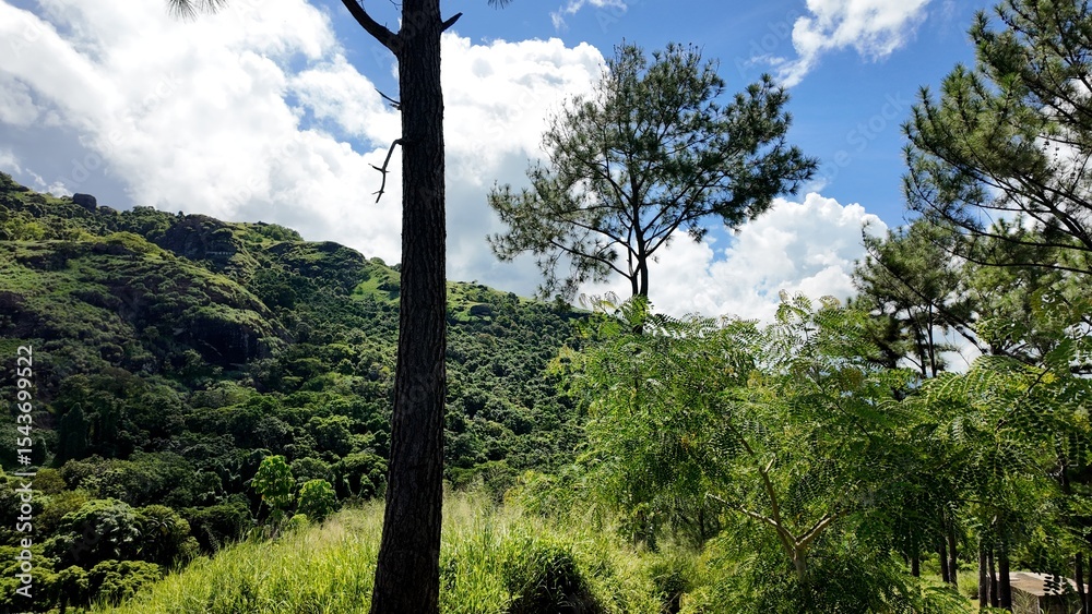 Obraz premium Nature hike in Fiji to Sleeping Giant