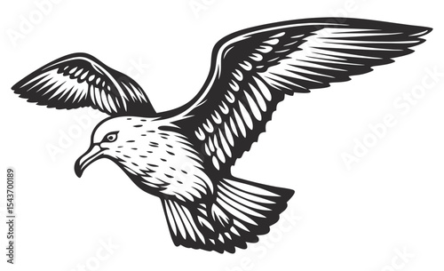 Vintage monochrome illustration of seagull soaring with outstretched wings, showcasing detailed feather patterns and capturing the essence of freedom and wildlife, ideal for nature inspired designs