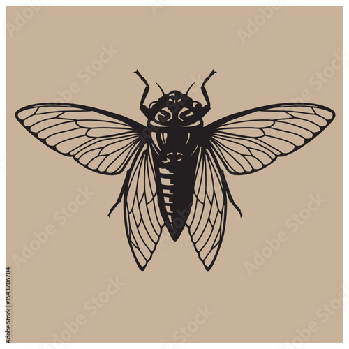 Detailed black silhouette of a cicada insect with open wings on a neutral background