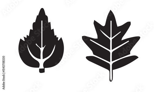 Leaves icons set