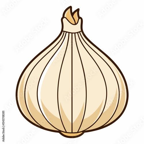 onion vector illustration