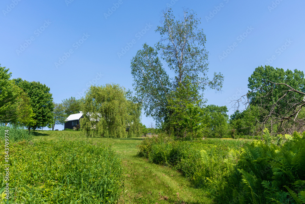 Obraz premium A beautiful property in a green landscape