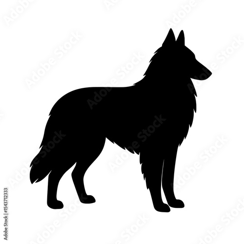 Elegant Black Silhouette of Belgian Sheepdog with Fluffy Fur and Alert Posture