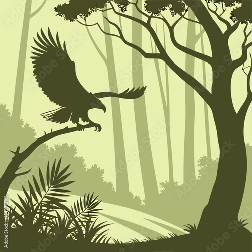 Eagle silhouette taking flight from a branch in a dense forest with tall trees and lush vegetation