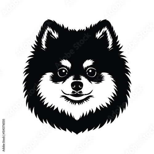 Black and White Pomeranian Dog Head Vector Illustration Pet Portrait Canine Graphic