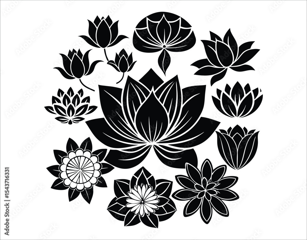Fototapeta premium Spiritual Lotus Flower Collection