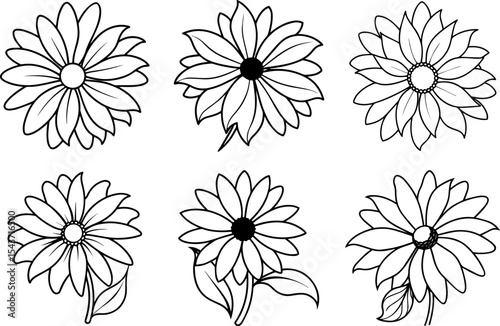 Set of Black eyed susan flower black outline vector and illustration, coloring book page
