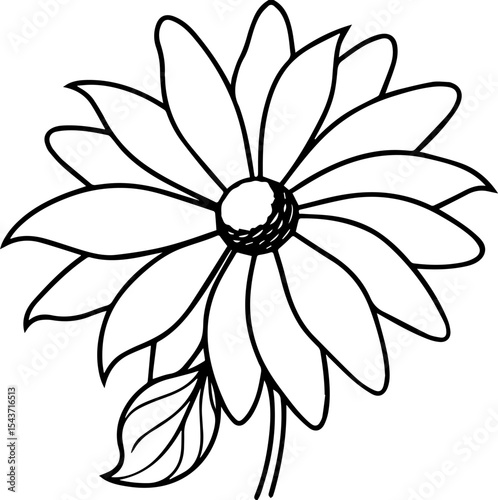 Black eyed susan flower black outline vector and illustration, coloring book page
