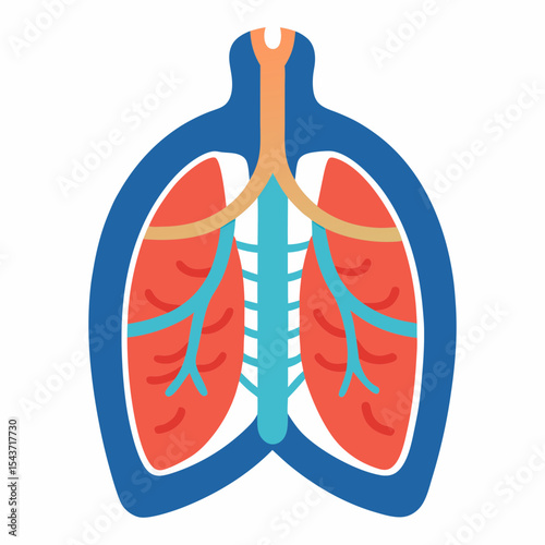 Vector art illustration of the inside of the human chest
