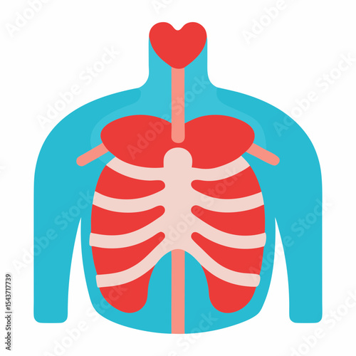 Vector art illustration of the inside of the human chest