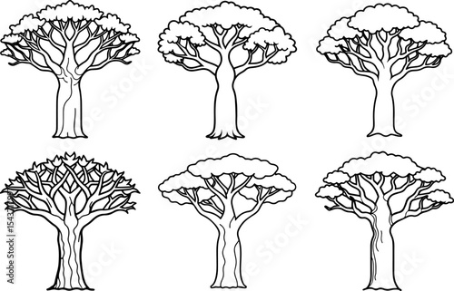 Set of Outline of baobab tree vector illustration, line art
