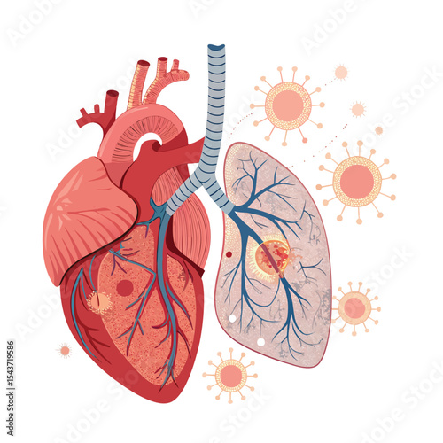 Heart and Lung Illustration: Impact of Virus on Human Respiratory and Circulatory Systems