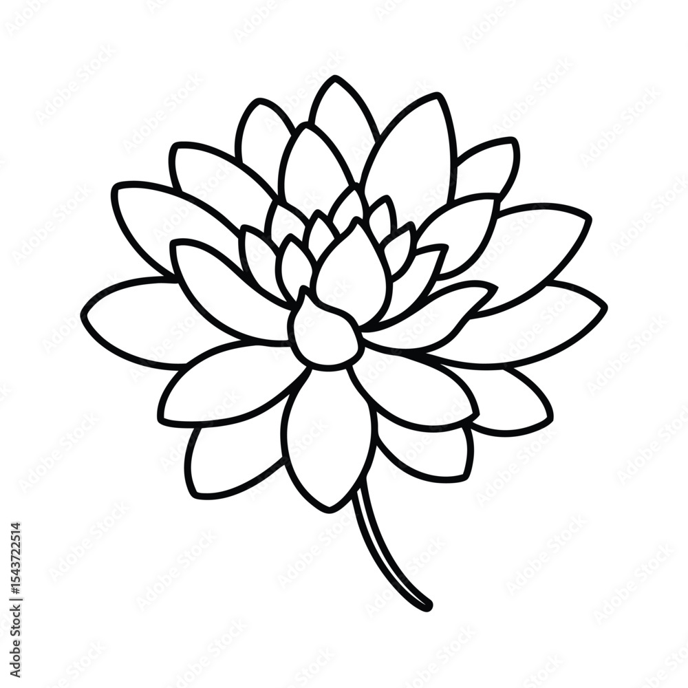Fototapeta premium Chrysanthemum flower black line drawing vector illustration