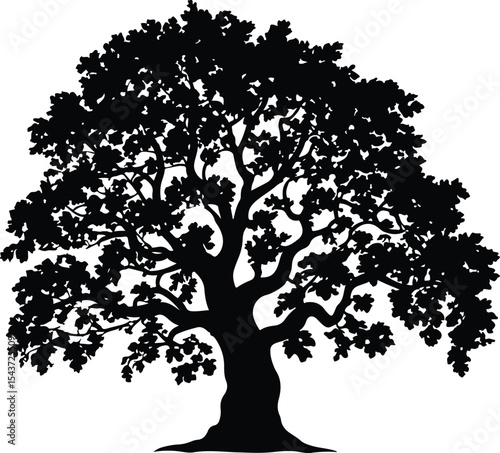 Silhouette of a majestic oak tree with a full crown