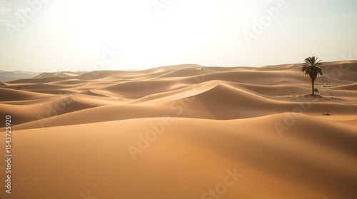 Fototapeta Naklejka Na Ścianę i Meble -  desert sand dunes