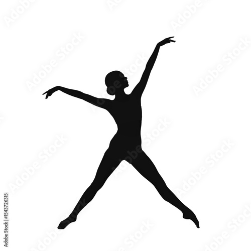 Graceful Lyrical Dancer Silhouette

