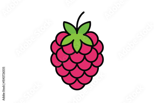 vector illustration of a raspberry