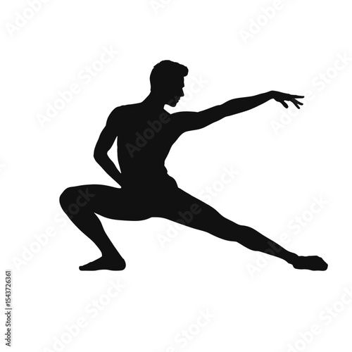 Elegant Male Ballet Silhouette

