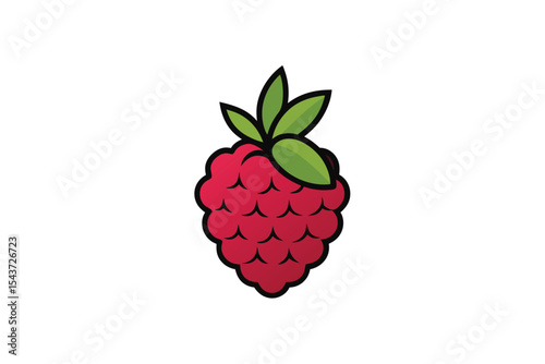 raspberry with berries and leaves in sketch vector art