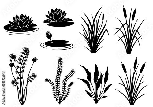 Vector isolated black silhouettes of various aquatic plants on white background