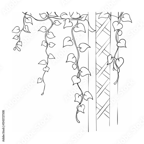 Black and White Line Art Heart Shaped Leaves Climbing Trellis
