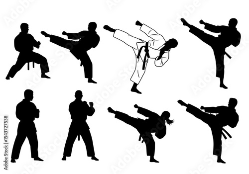 Vector silhouettes of karate athletes demonstrating various techniques isolated on white background