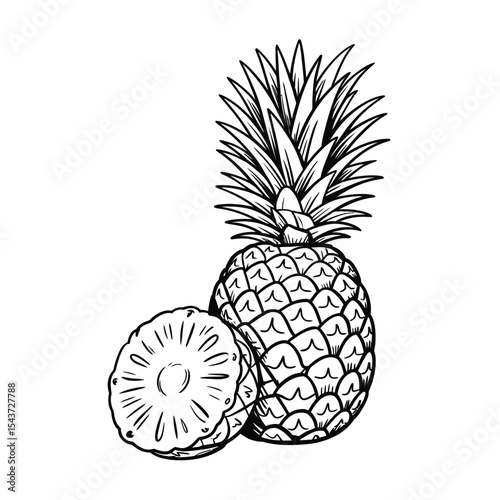 Hand-Drawn Pineapple Illustration Whole and Sliced