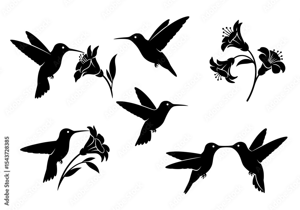 Fototapeta premium Vector silhouettes of hummingbirds and lilies isolated on white background