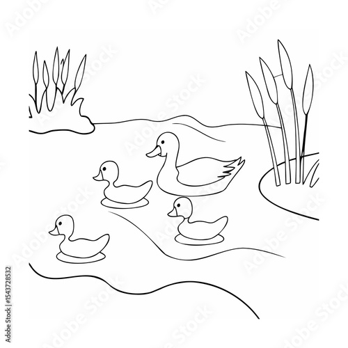 Line art duck family swimming pond reeds simple black white