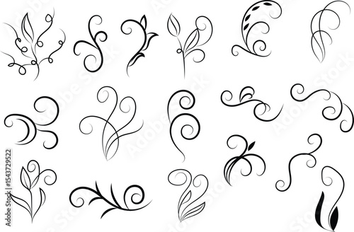 Collection of decorative floral swirls and flourishes in black line