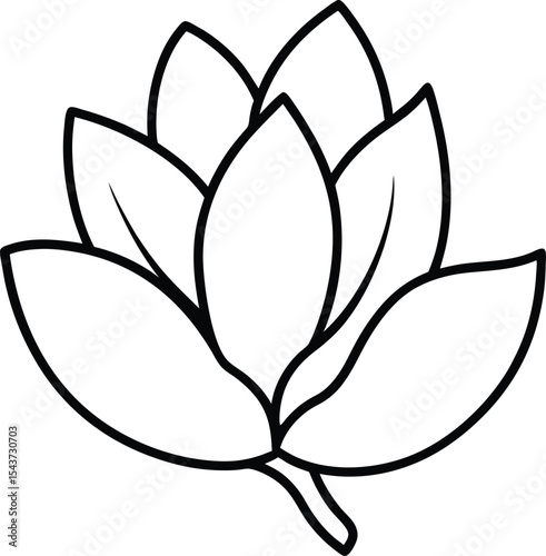 Magnolia flower head black line drawing vector illustration