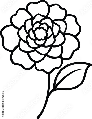 Marigold flower black line drawing vector illustration