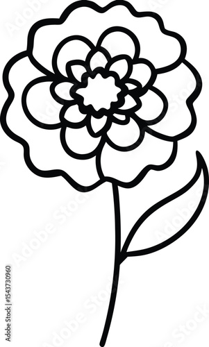 Marigold bloom black line drawing vector illustration