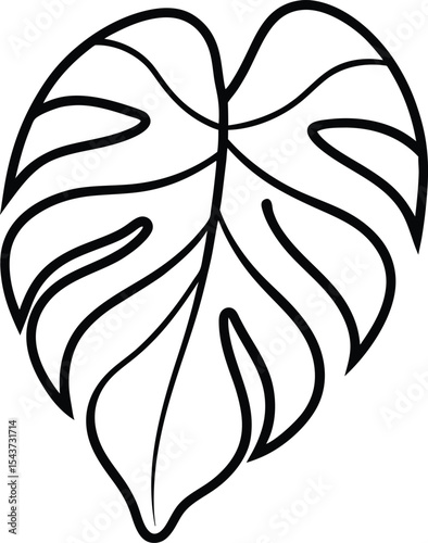 Monstera leaf black line drawing vector illustration