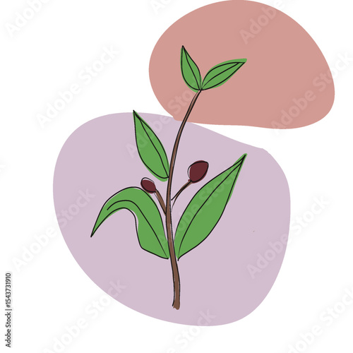 vector illustration of a plant